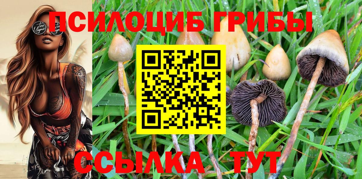 Галлюциногенные грибы Psilocybe  Вход с VPN  Псилоцибиновые грибы Cubensis  Жуковский 